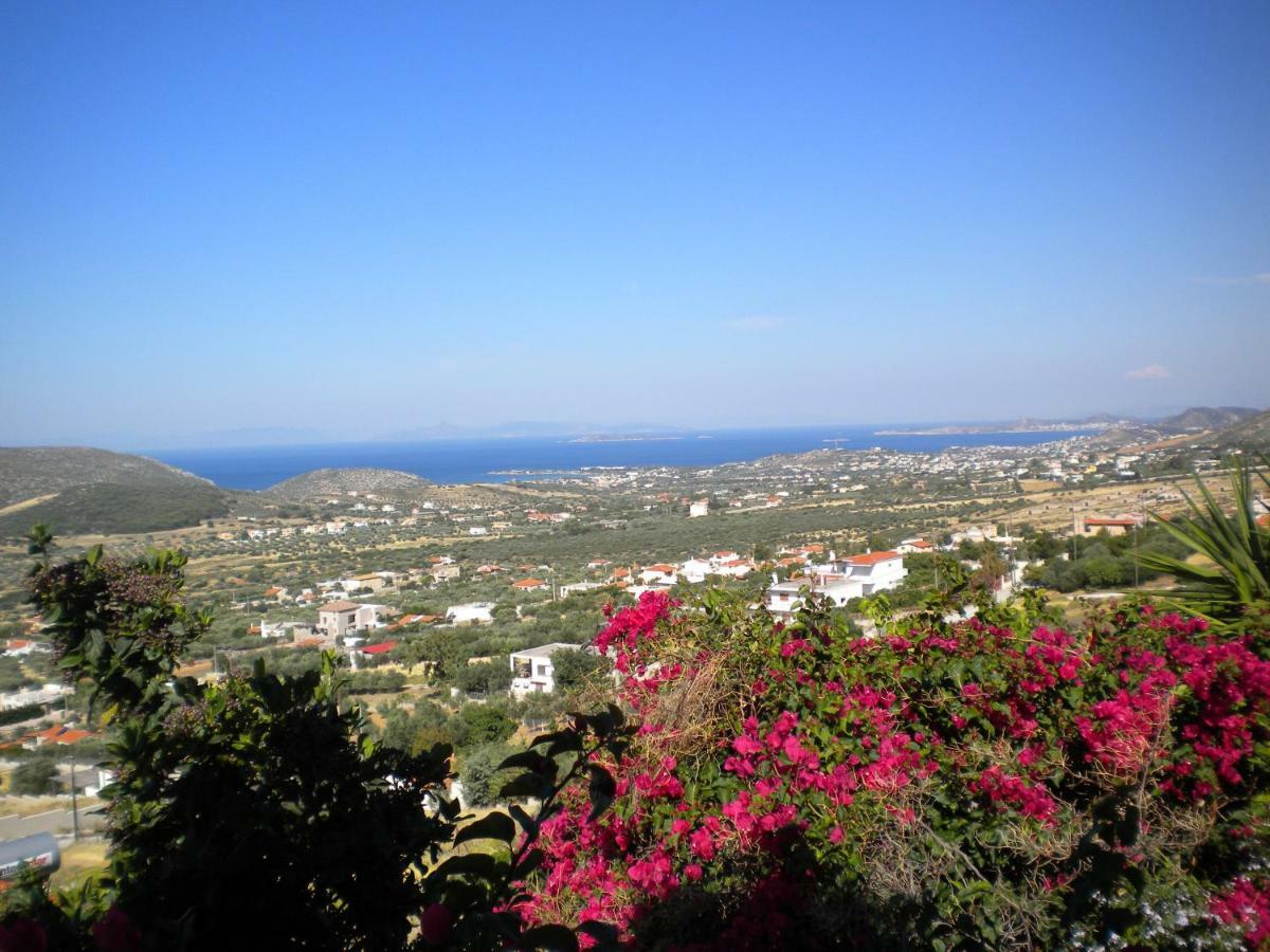 Outstanding Panoramic View, 10΄ Beach, 20΄ Airport Olimbos Dış mekan fotoğraf